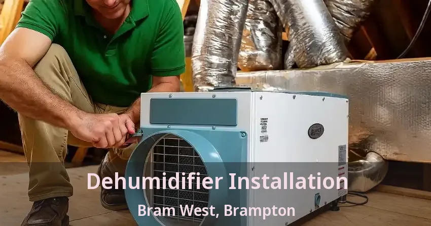 Dehumidifier Installation Bram West, Brampton - ON