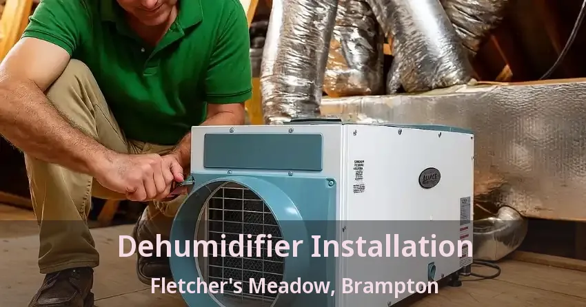 Dehumidifier Installation Fletcher's Meadow, Brampton - ON