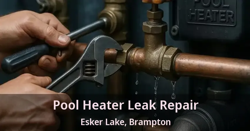 Pool Heater Leak Repair Esker Lake, Brampton - ON