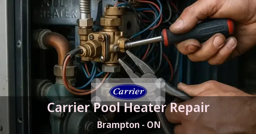 Carrier Pool Heater Repair Brampton - ON